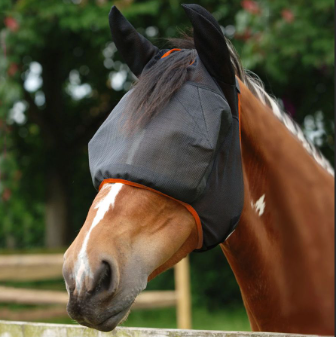 Viegenmasker met oren